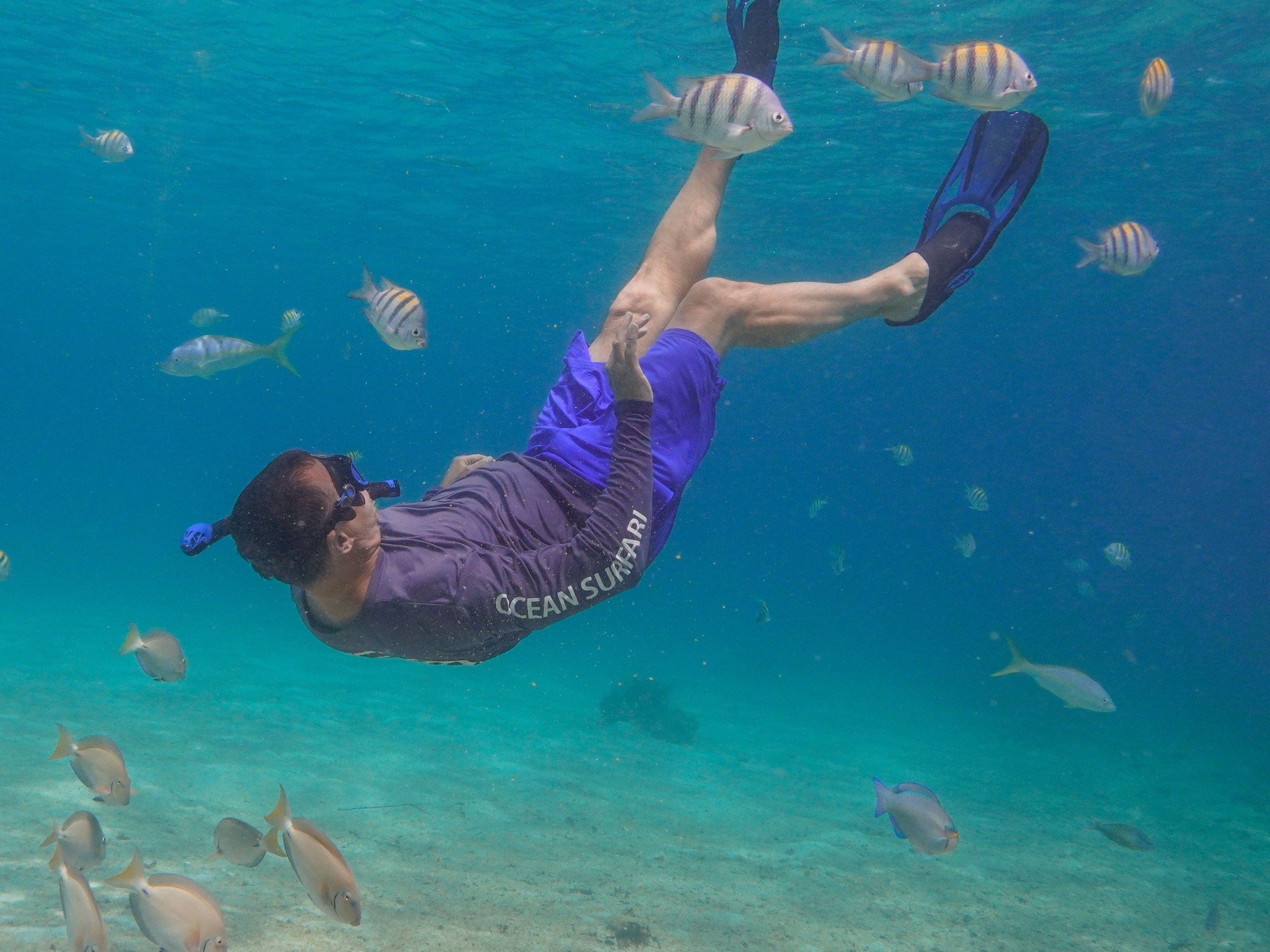 Person snorkeling underwater with flippers surrounded by colorful fish in clear blue water.