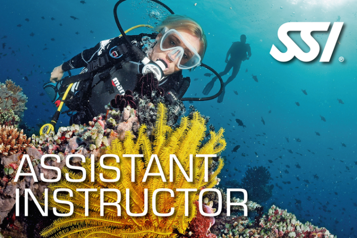 Scuba diver underwater with coral, text 'Assistant Instructor' and SSI logo.