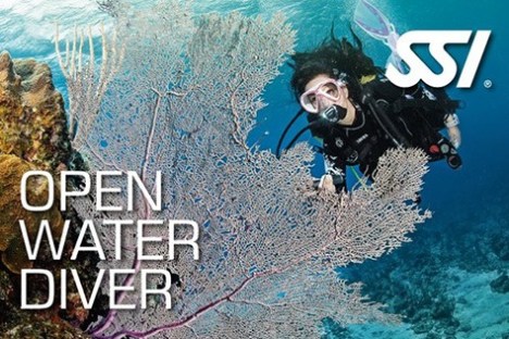 Scuba diver near coral with 'Open Water Diver' and 'SSI' text.