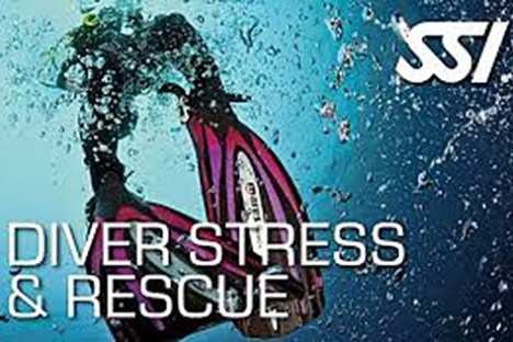 Underwater diver with pink fins, text 'Diver Stress & Rescue' and SSI logo.