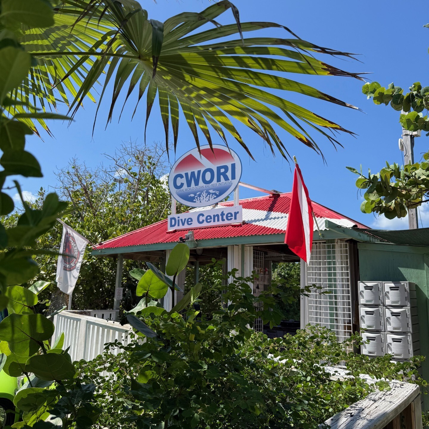 Small dive center with red roof, surrounded by greenery and a dive flag.
